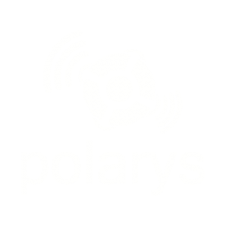 Proyecto Polarys